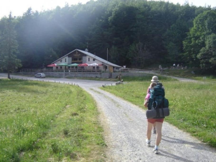 Cozy Rooms In Nature, Perfect For Relax Ilirska Bistrica Buitenkant foto