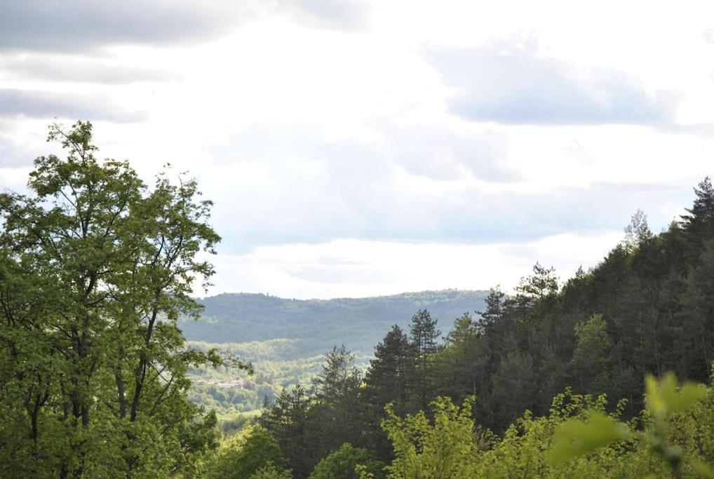 Cozy Rooms In Nature, Perfect For Relax Ilirska Bistrica Buitenkant foto